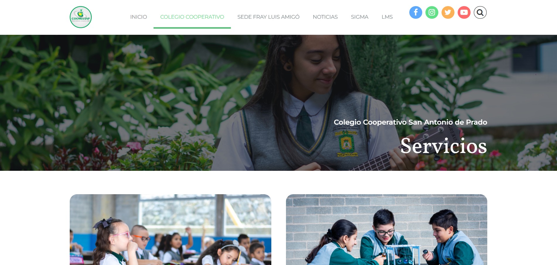 imagen-proyecto